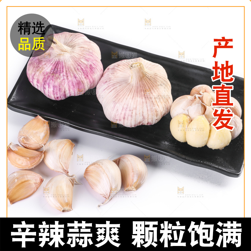 白底上的紫皮大蒜