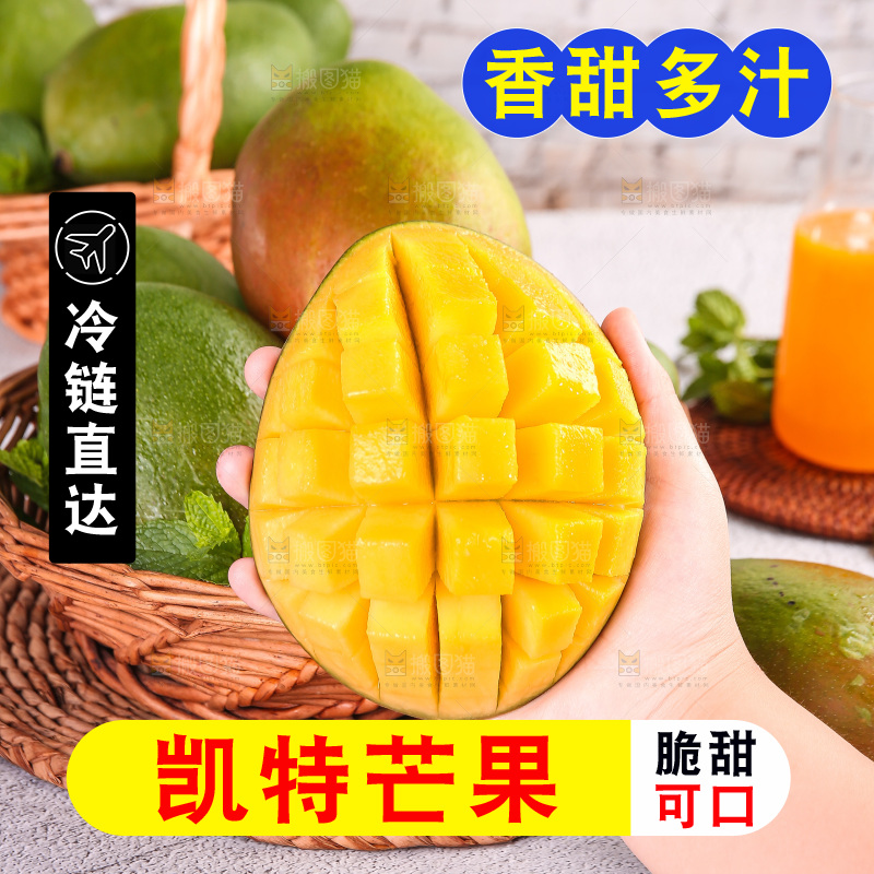 浅底上的凯特芒