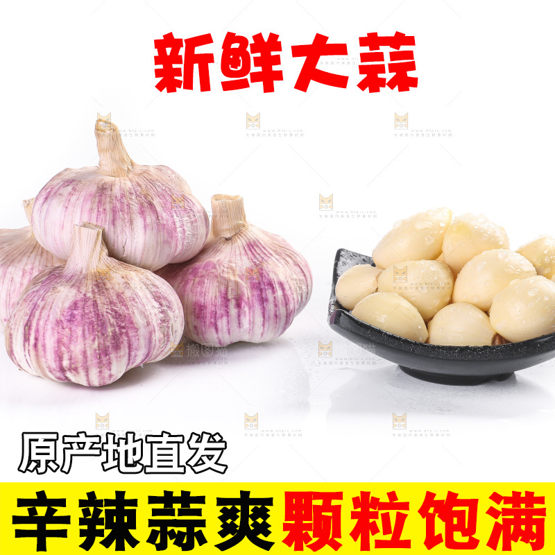 白底上的紫皮大蒜