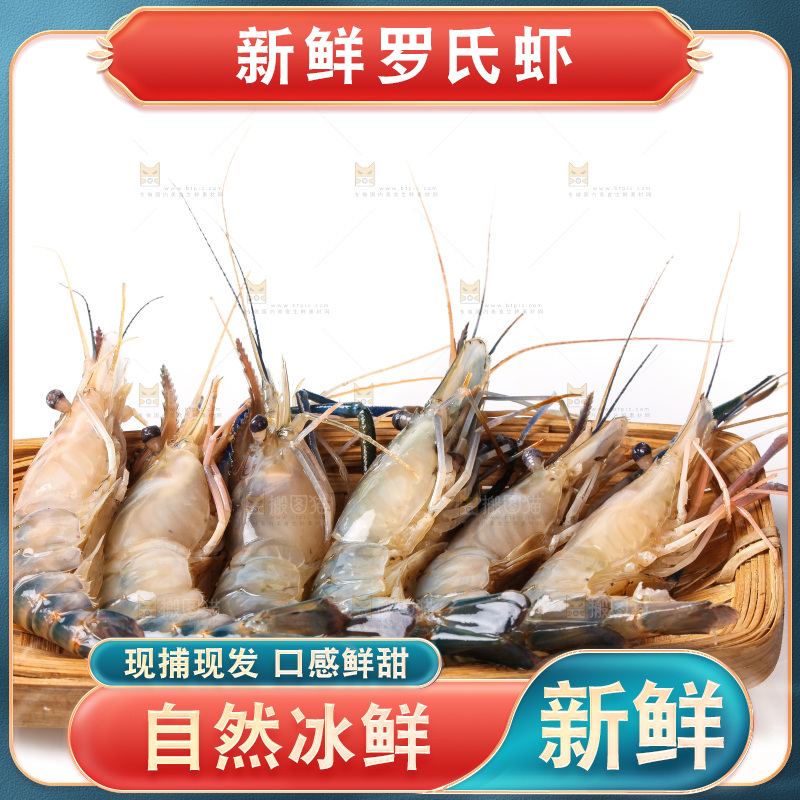 白底上的罗氏虾