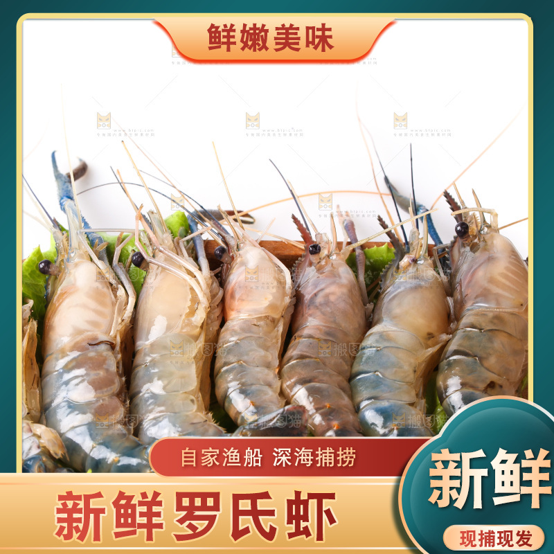 白底上的罗氏虾