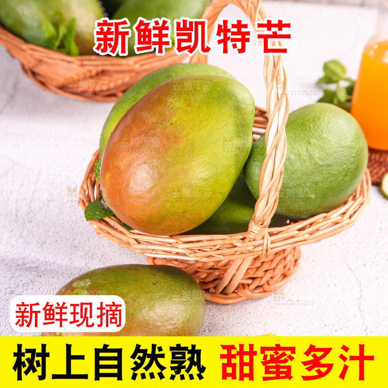 浅底上的凯特芒