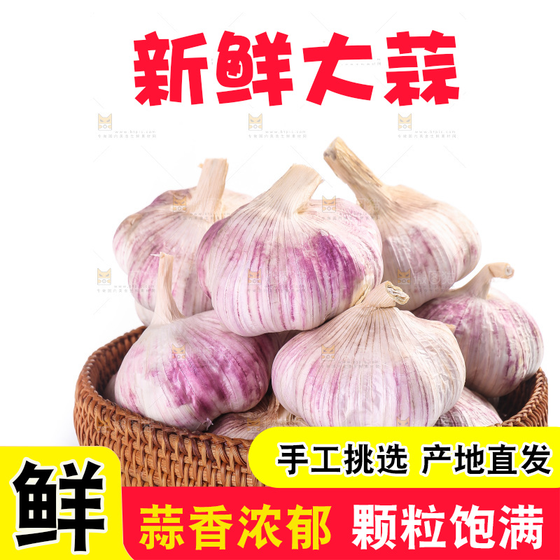 白底上的紫皮大蒜