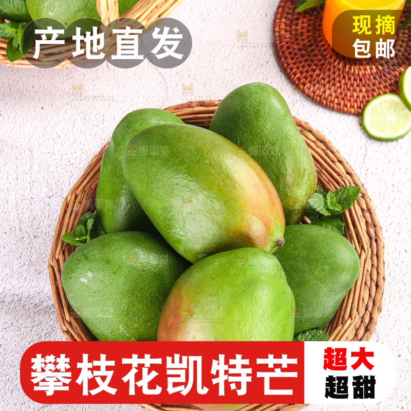 浅底上的凯特芒