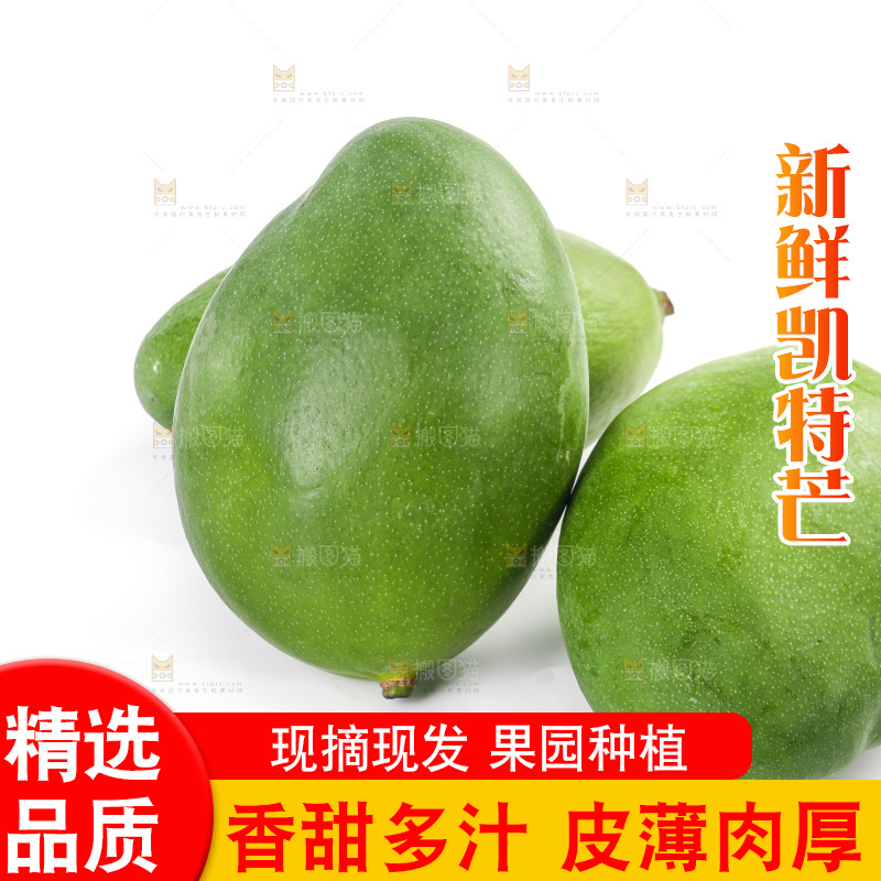 白底上的凯特芒果