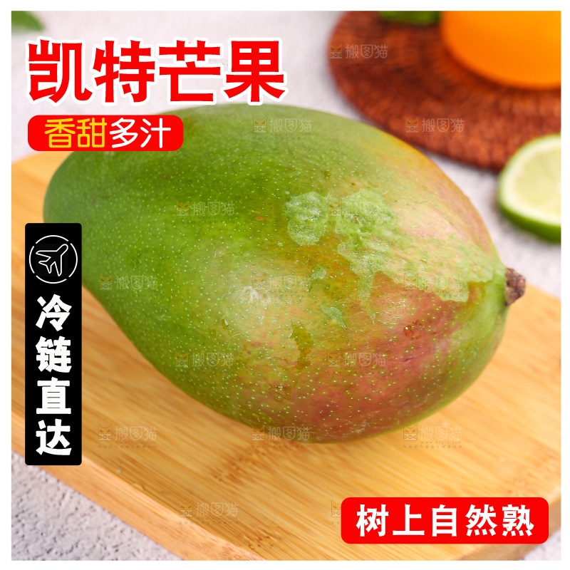 浅底上的凯特芒