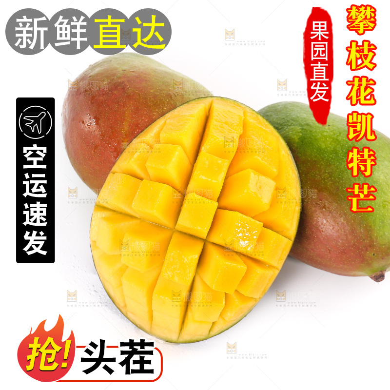 白底上的凯特芒果