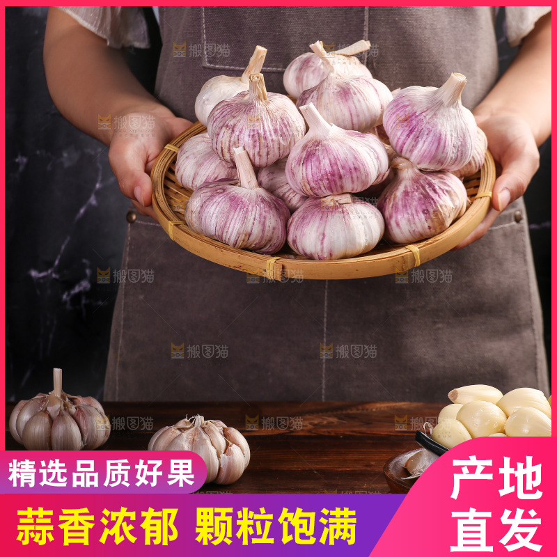 木底上的紫皮大蒜