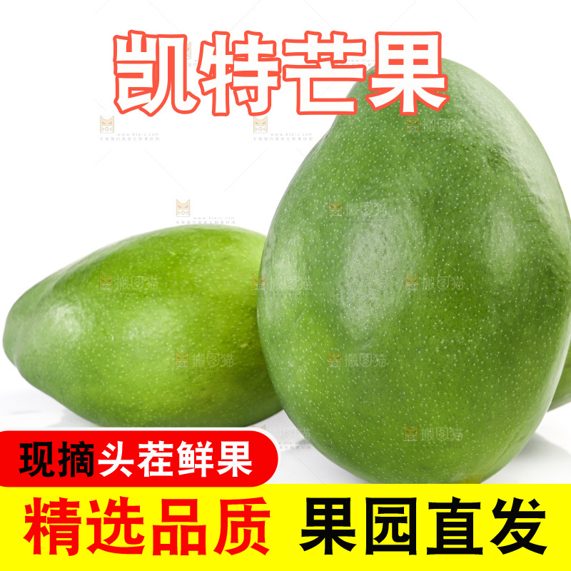 白底上的凯特芒果