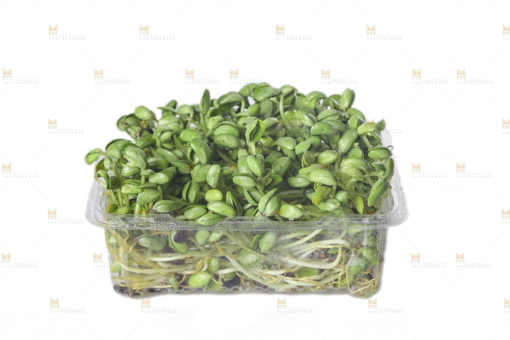 白底上的黑豆芽