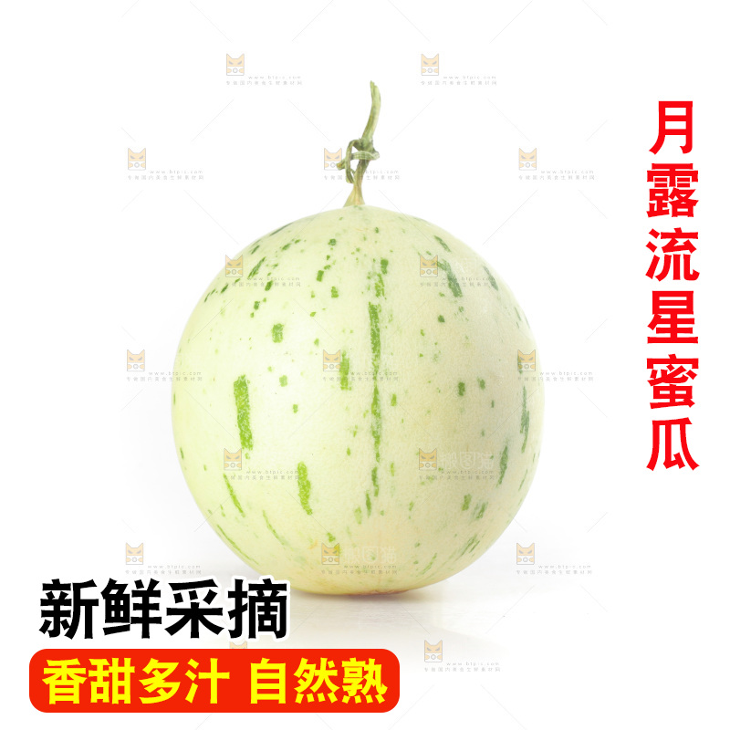 白底上的月露流星蜜瓜