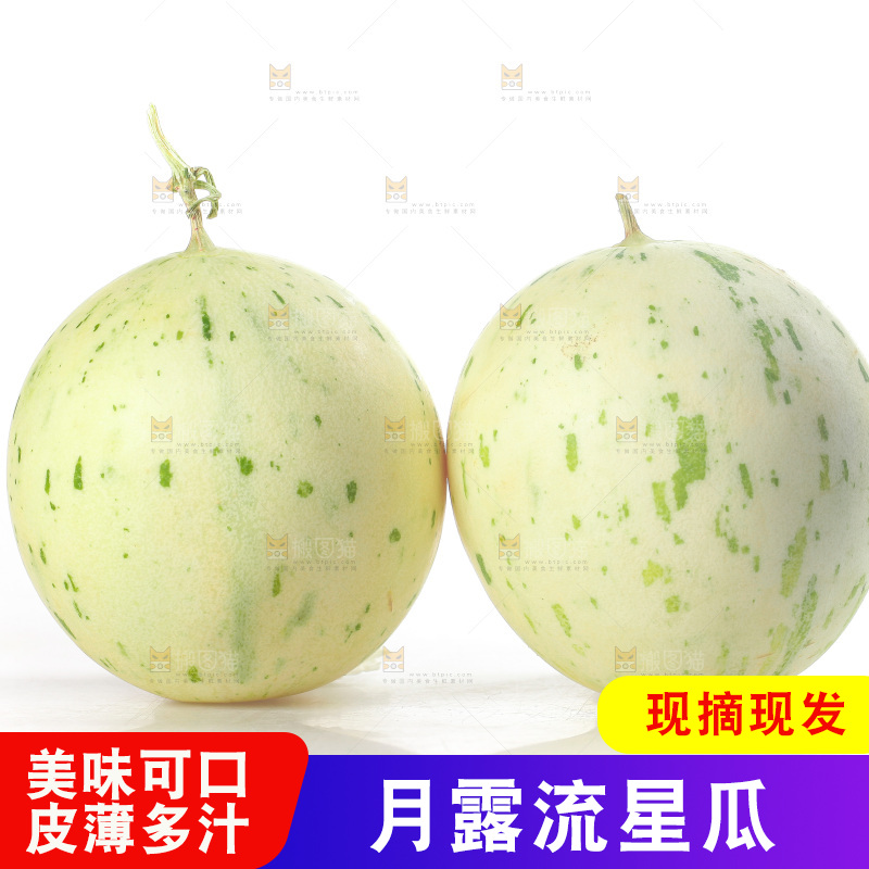 白底上的月露流星蜜瓜