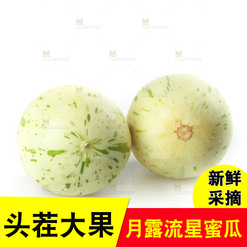 白底上的月露流星蜜瓜