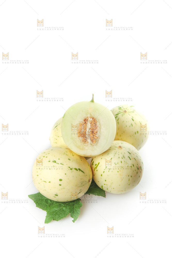 白底上的月露流星蜜瓜