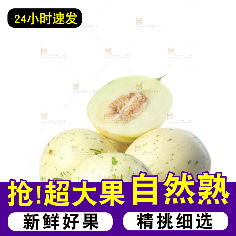 白底上的月露流星蜜瓜