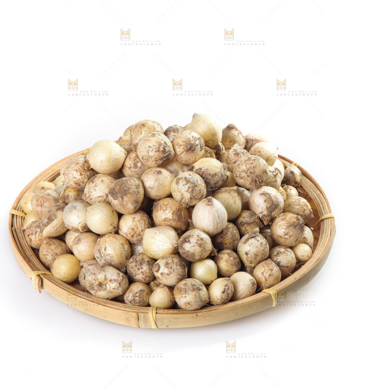 白底上的藠头籽