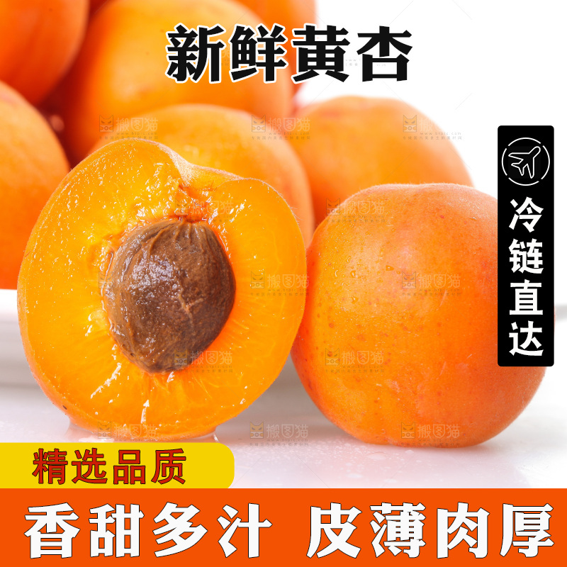 白底上的大黄杏