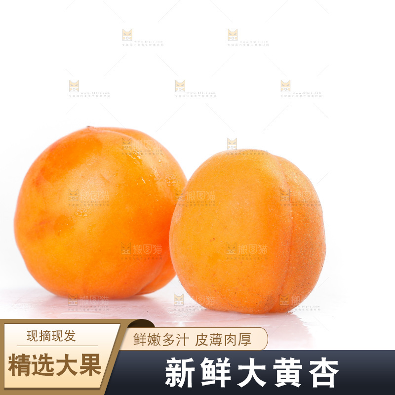 白底上的大黄杏