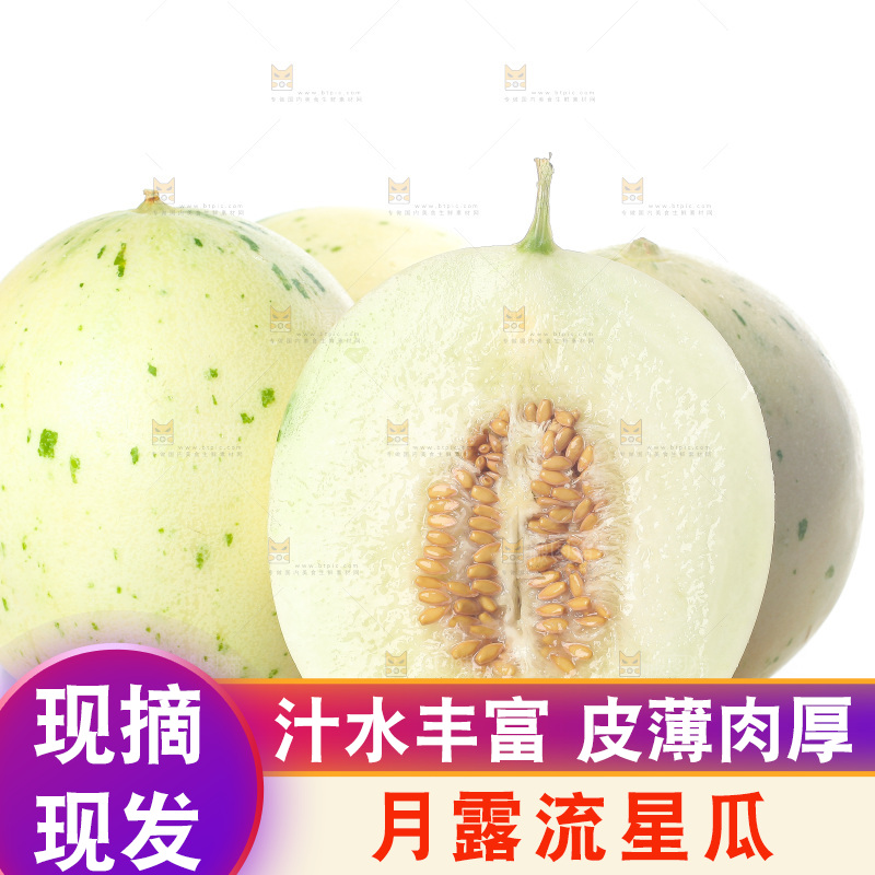 白底上的月露流星蜜瓜