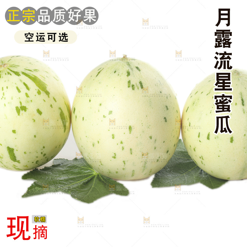 白底上的月露流星蜜瓜