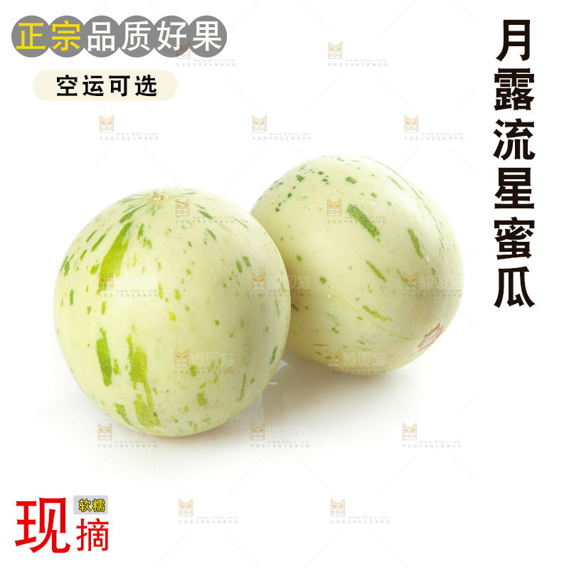 白底上的月露流星蜜瓜