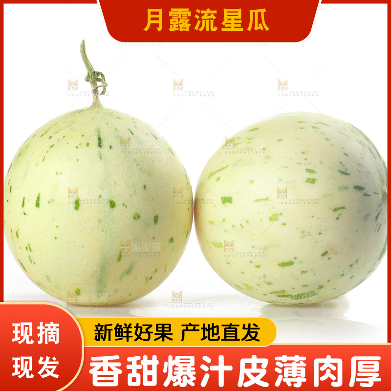 白底上的月露流星蜜瓜