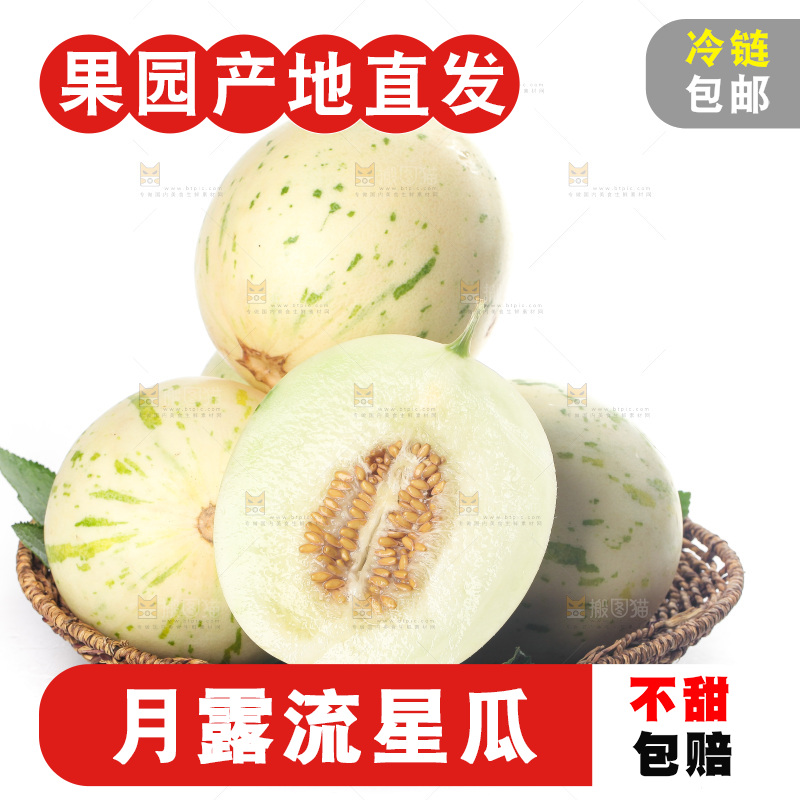 白底上的月露流星蜜瓜