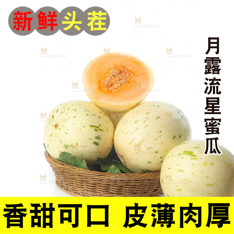 白底上的月露流星蜜瓜