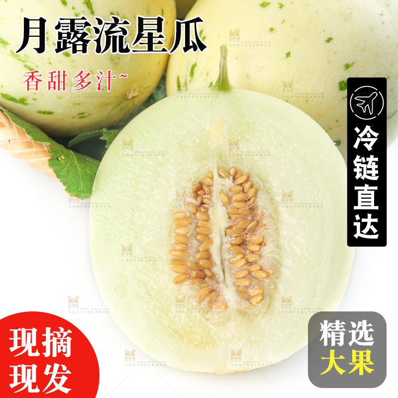 白底上的月露流星蜜瓜