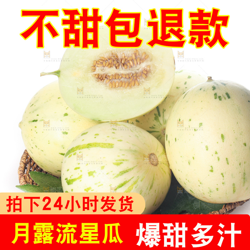 白底上的月露流星蜜瓜