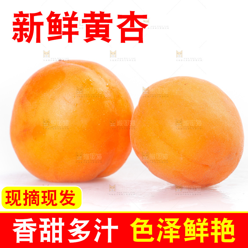 白底上的大黄杏