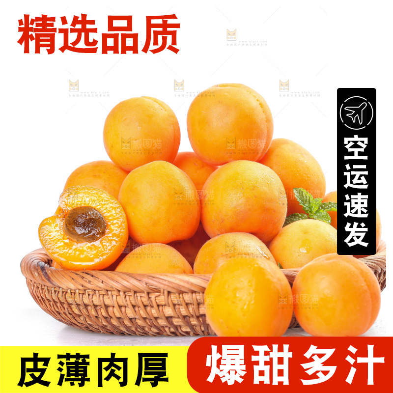白底上的大黄杏