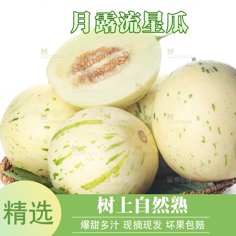 白底上的月露流星蜜瓜