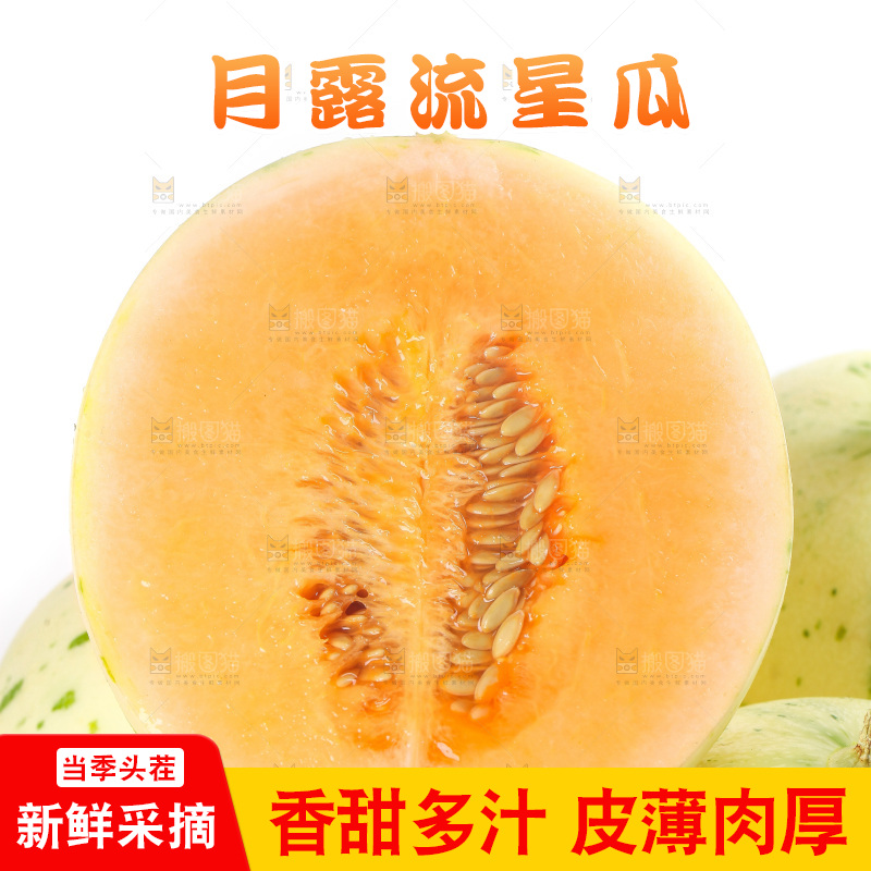 白底上的月露流星蜜瓜