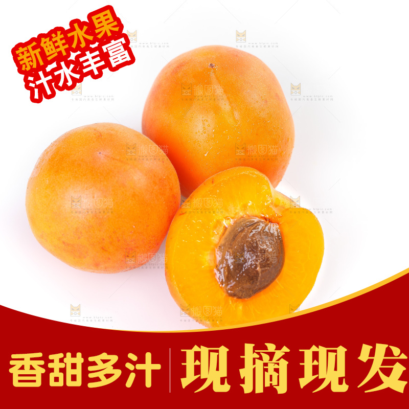 白底上的大黄杏