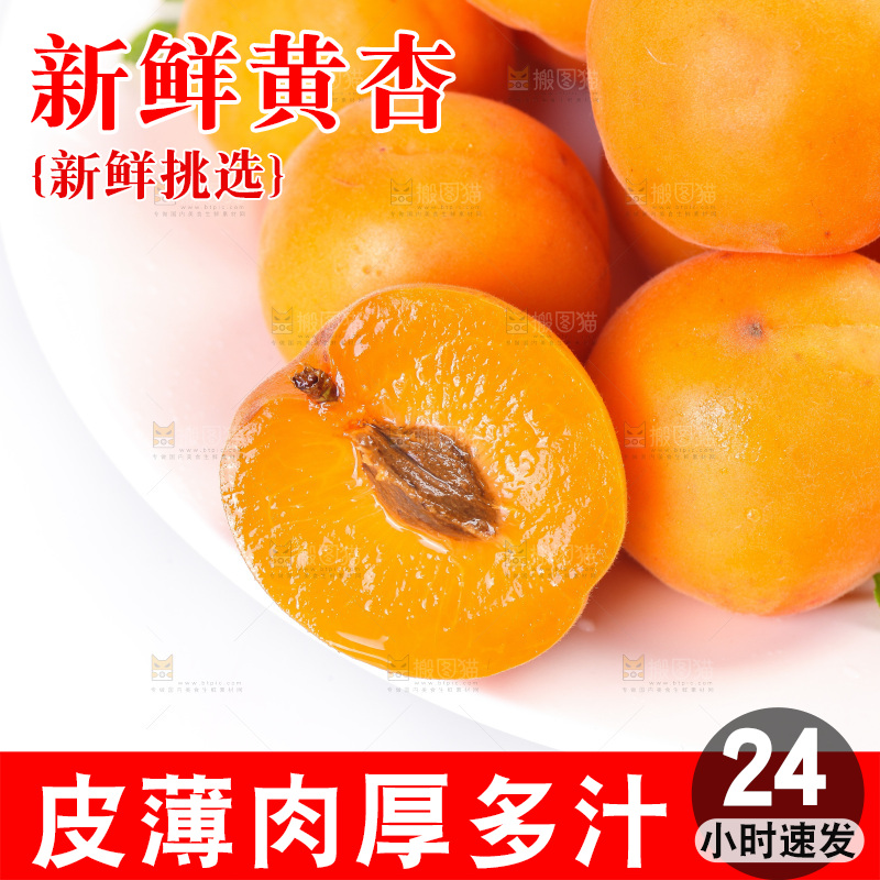 白底上的大黄杏