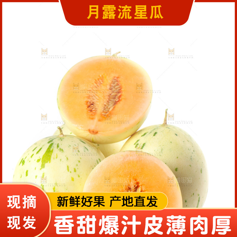 白底上的月露流星蜜瓜