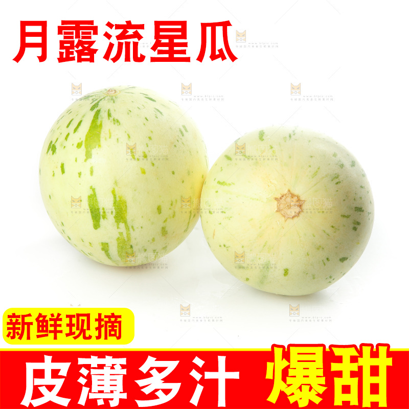 白底上的月露流星蜜瓜