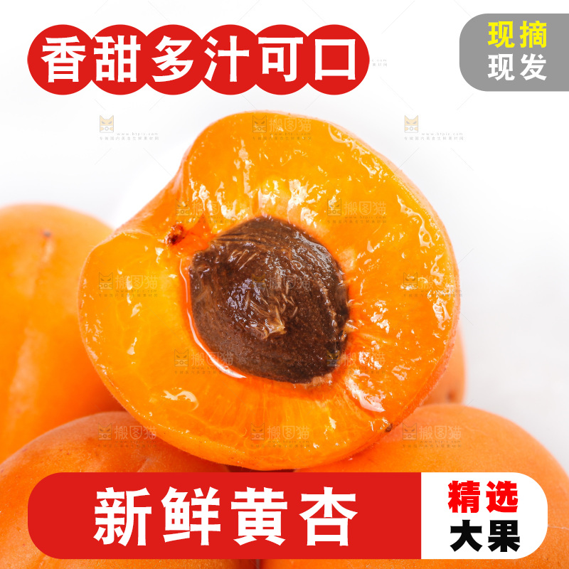 白底上的大黄杏
