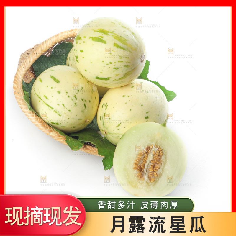 白底上的月露流星蜜瓜