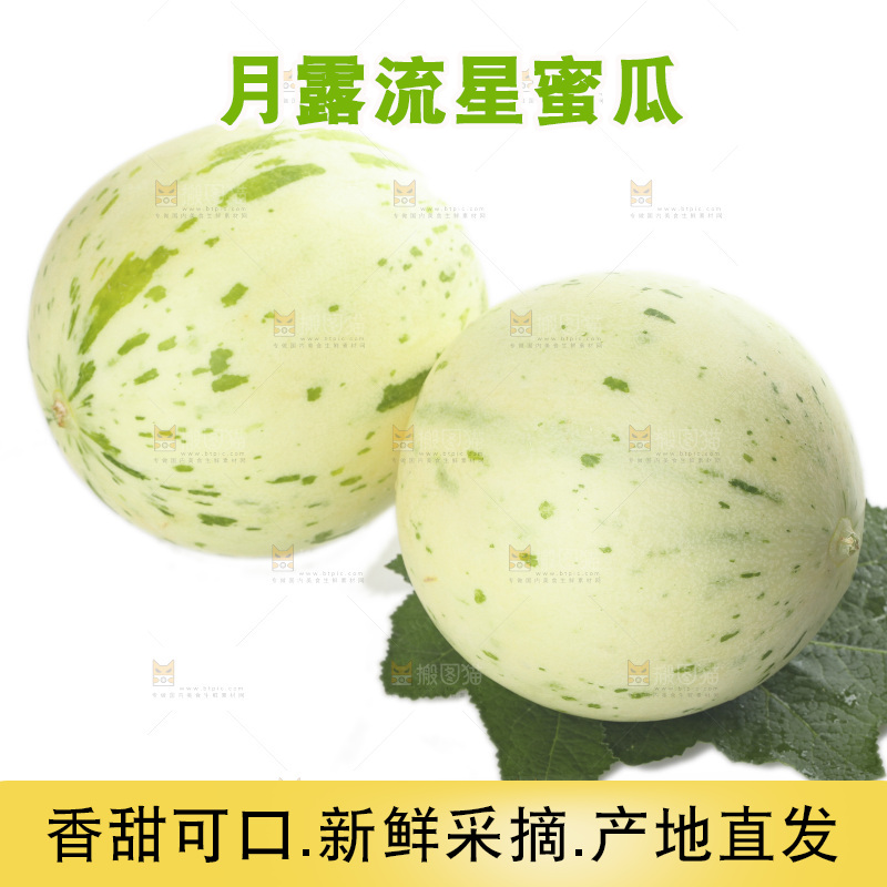 白底上的月露流星蜜瓜