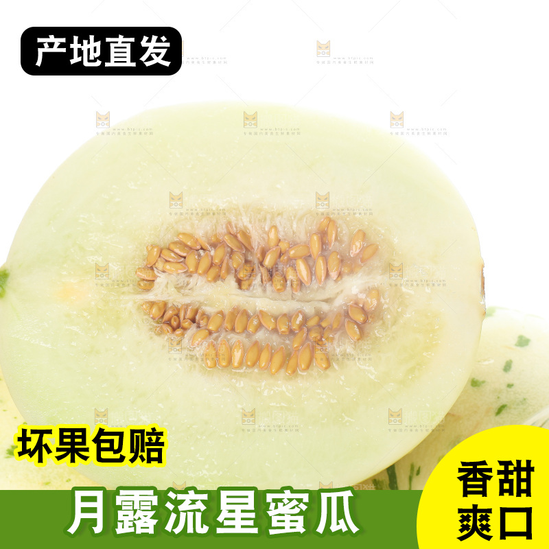 白底上的月露流星蜜瓜