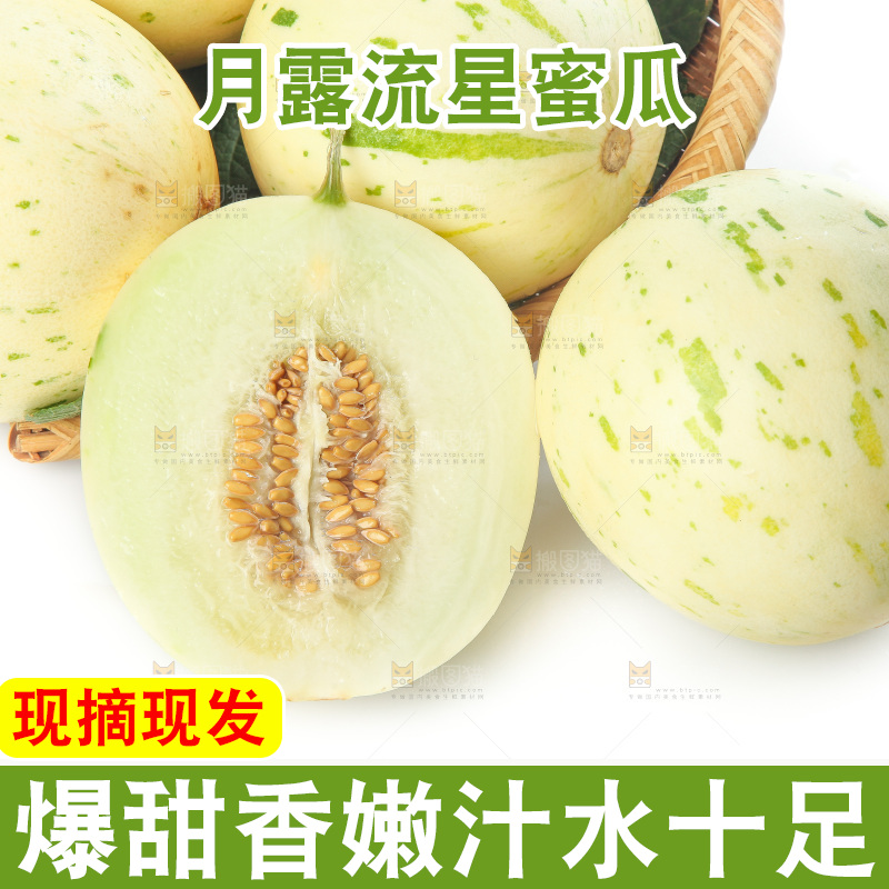 白底上的月露流星蜜瓜