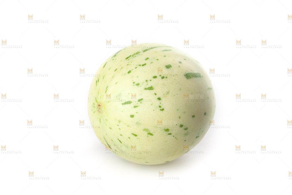 白底上的月露流星蜜瓜