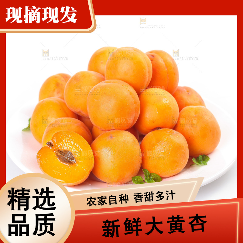 白底上的大黄杏