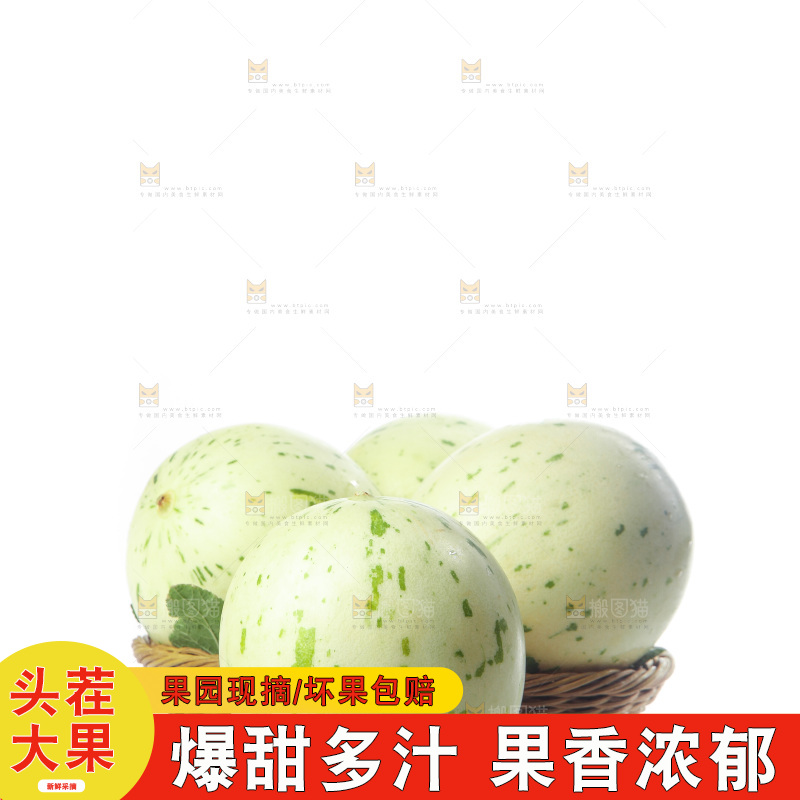 白底上的月露流星蜜瓜