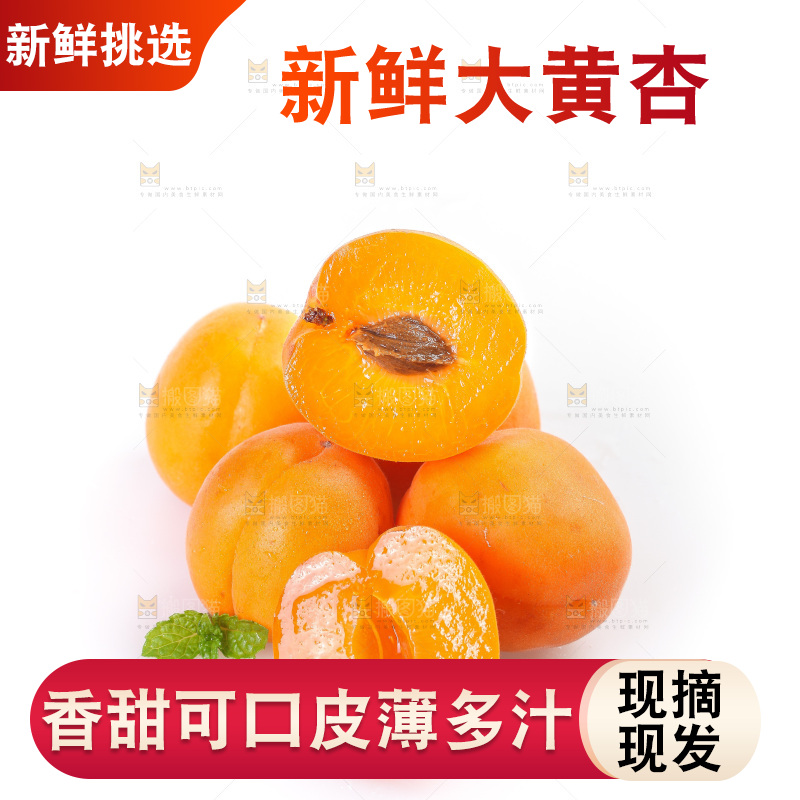 白底上的大黄杏