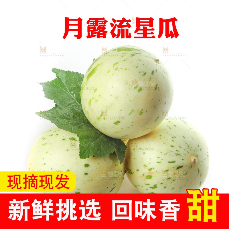 白底上的月露流星蜜瓜