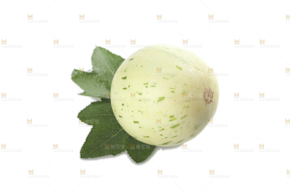 白底上的月露流星蜜瓜