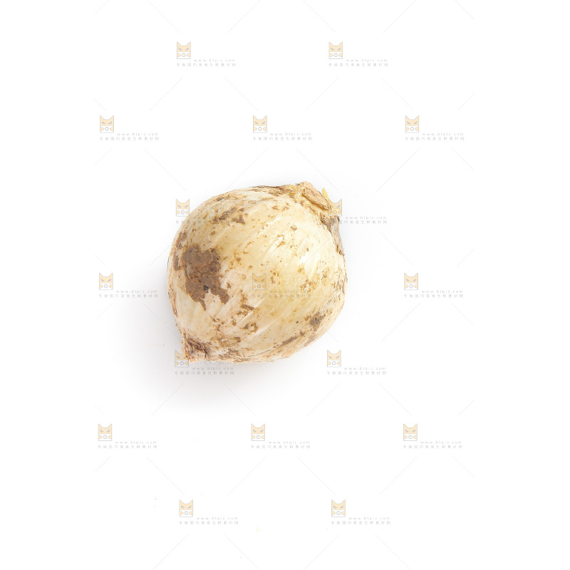 白底上的藠头籽